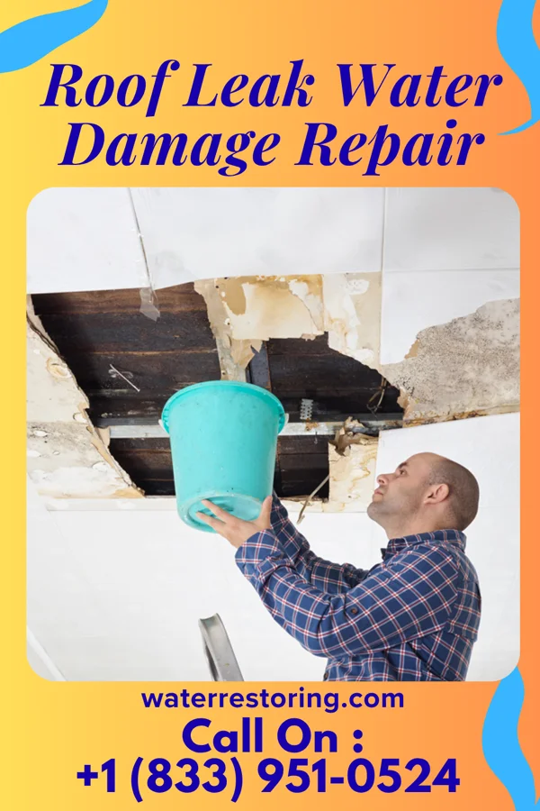 Roof Leak Water Damage Repair in Monticello, LA
