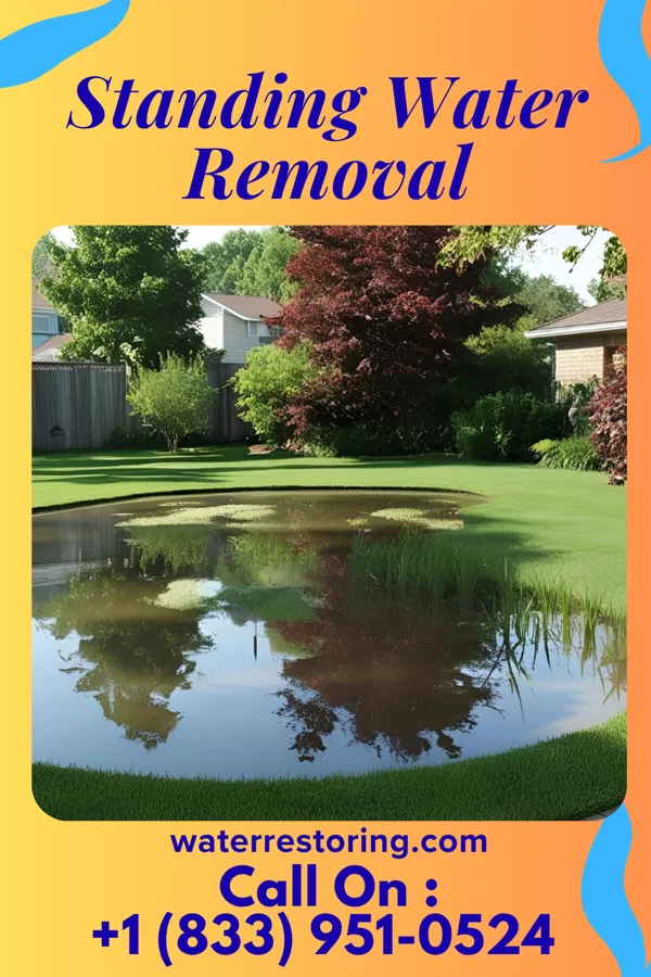 Standing Water Removal in Monticello, LA